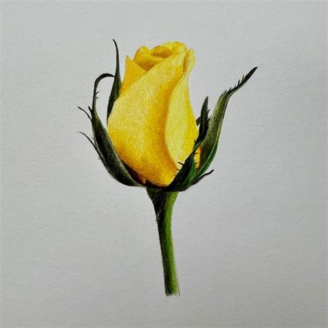 How To Make Realistic Looking Flowers at Isaac Macquarie blog