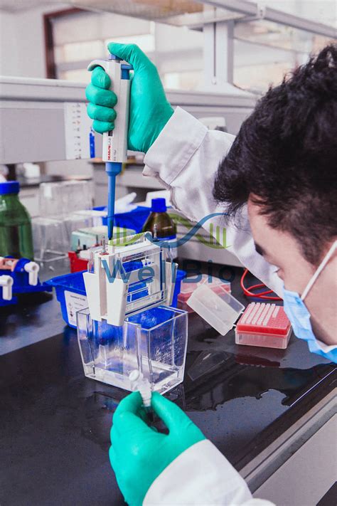 实验室 的图像结果