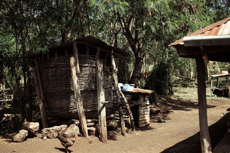 ABCD Community Partnership Program 的图像结果