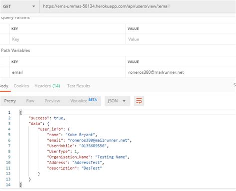 Call to .Net Web API As String Parameter 的图像结果