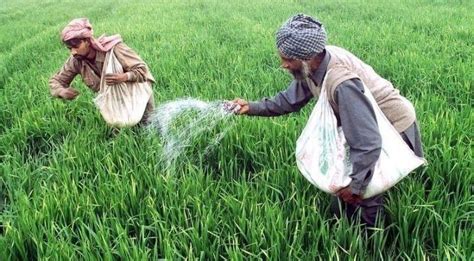 More Harmful Than CO2, Nitrous Oxide Levels Are Rising And Damaging ...