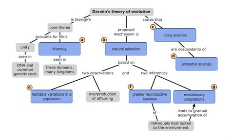 Evolution Theory 的图像结果