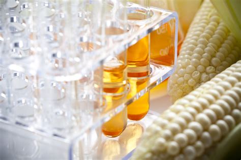 Biofuels - Golden Gate Petroleum