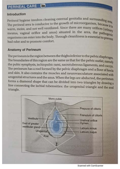 Perineal care - Lecture notes - Bsc nursing - Studocu