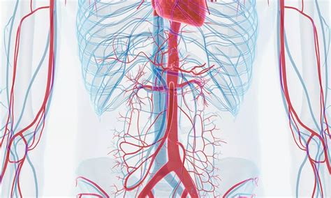 Severe Aortic Wall Thrombus Predicts Higher Risks in transfemoral TAVR ...