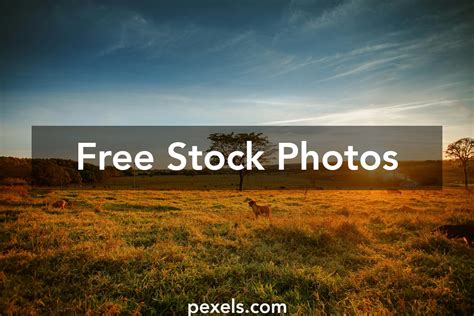 Image result for Land Gradient