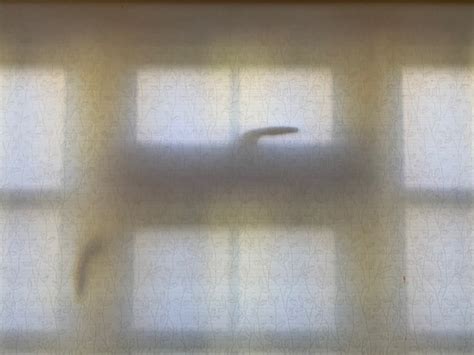 Linus Tech Tips Blind 的图像结果