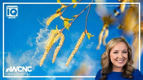 North Carolina's yellow pollen is starting to fade, but when is it over ...