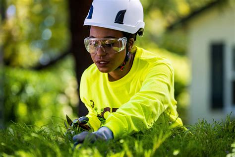 Image result for Monster Tree Pruning