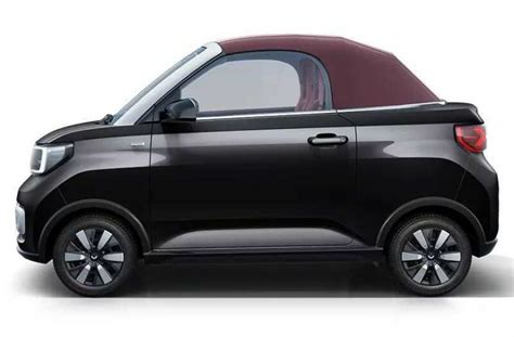 Image result for Wuling Mini EV Capybara