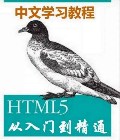 HTML5 从入门到精通pdf 百度网盘下载 - 爱思资源网