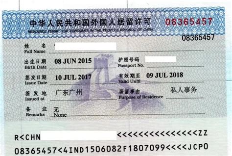 2021年什么类型的中国签证，可以回中国？ | 中国领事代理服务中心