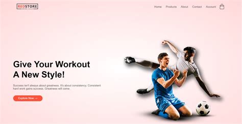 Image result for E-Commerce Website in Coding