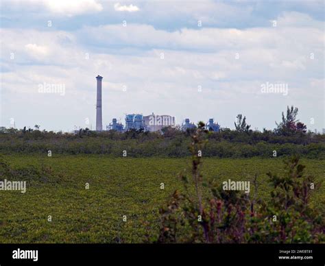 Turkey point nuclear power station hi-res stock photography and images ...