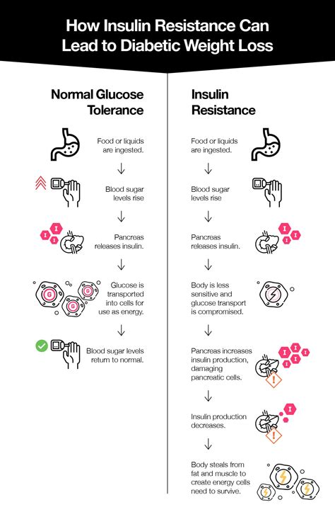How to Gain Weight with Diabetes: 5 Proven Techniques to Reverse – The Amino Company