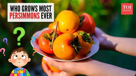 Curiosity corner: Which country produces the most persimmons?