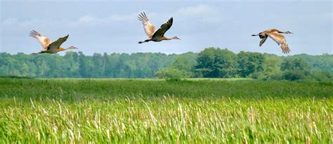Spirit of Gravel - Carlos Avery & Columbus Flat Earthers Ride, Smokey's ...