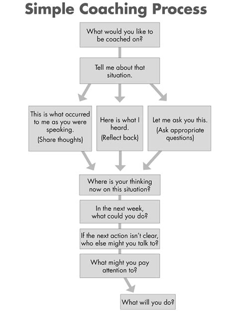 Coaching Process 的图像结果