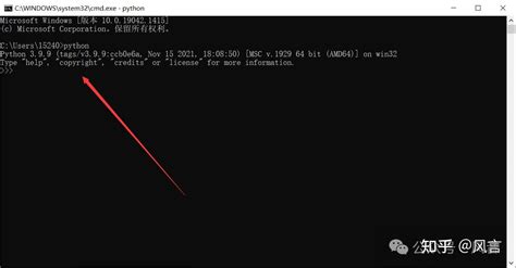 Python Fur Windows 7 的图像结果