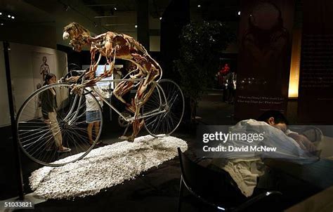 Image result for Bicycle Exploded-View