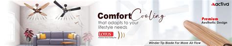 Amazon.in: ACTIVA: Bldc Ceiling Fan