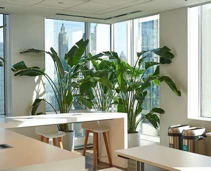 Saks Global Bengaluru office | Glassdoor