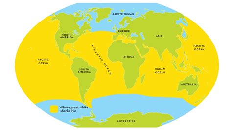 Great White Shark Habitat