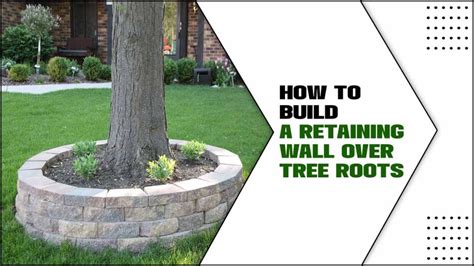 Image result for How to Mow Over Tree Roots