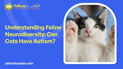 Understanding Feline Neurodiversity: Can Cats Have Autism?