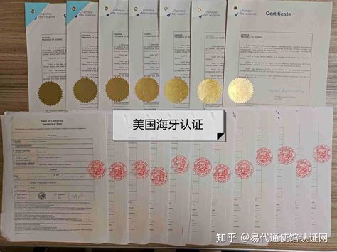 欧式企业荣誉证书聘书模板图片下载_红动中国
