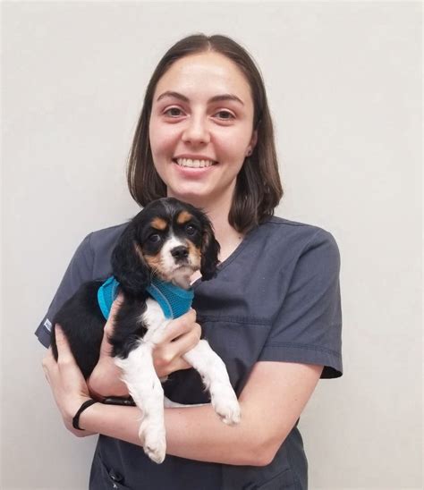 Monroe Veterinary Associates Office Photos | Glassdoor