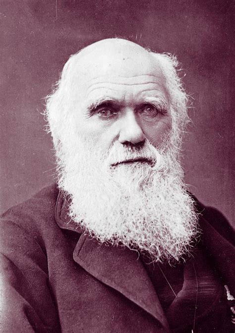 Dia de Darwin – 12 de fevereiro - Datas Comemorativas - Colégio Web