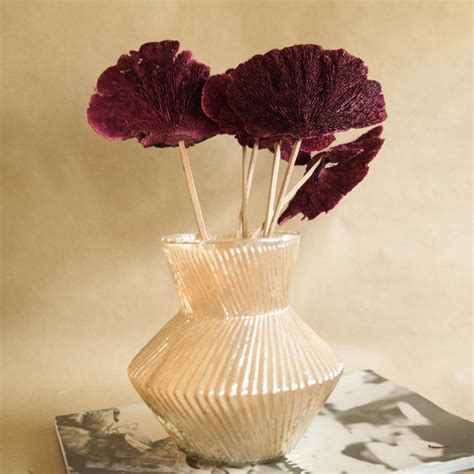 Red Sponge mushroom – https://artecasa.in/