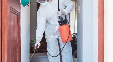 Patna’s Top Pest Control Solutions for Homes and Businesses | Inzila ...