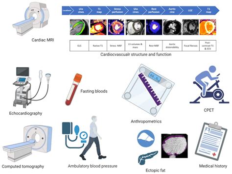 Impact of the Remission of Type 2 Diabetes on Cardiovascular Structure ...