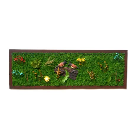 Bulbul's Call Preserved Moss Frame with Dark Wood