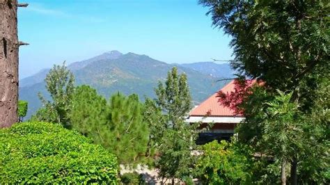 8 Amazing Things To Do In Parwanoo A Adrenaline Rush In 2026!