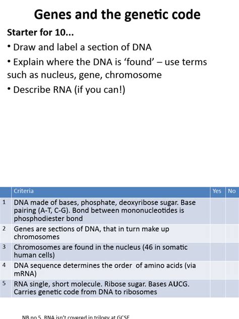 Genetic Code PDF 的图像结果