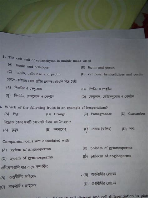 the cell wall of collenchyma is mainly made up of - Brainly.in