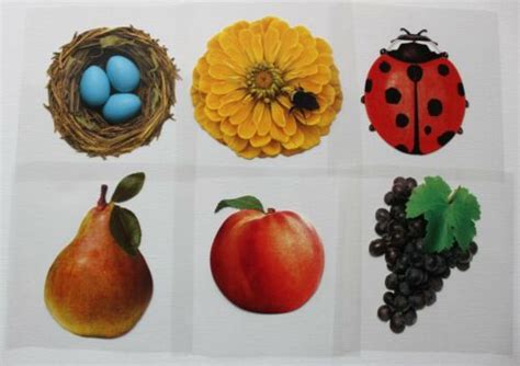 Buy Mrs. Grossman sticker sheet You Choose - Extraordinary Photo Online ...