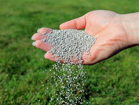 When To Apply Fertilizer To Your Lawn In The Fall - Backyard Boss