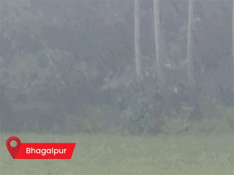 Monsoon active in Bihar: Yellow alert for rain and lightning in 26 ...