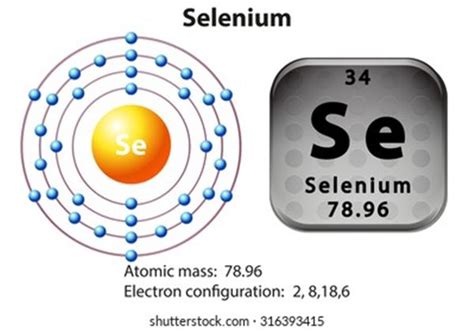 Orbital Diagram For Selenium