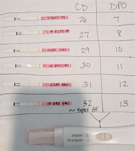 Pregnancy Test Dpo Chart at Steve Stults blog