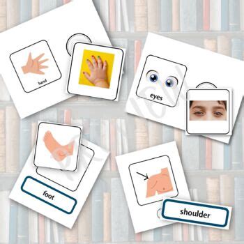 Body Parts Vocabulary Book and Task Cards by Julie Jupiter Book Club