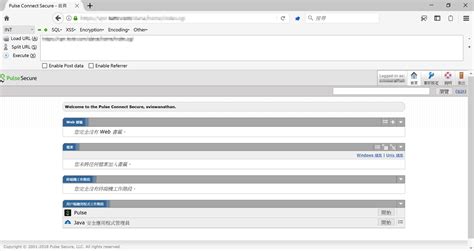 Pulse Secure Client 的图像结果