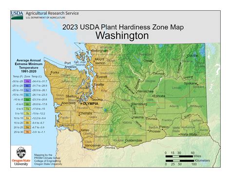 Hydroseeding in Washington – Complete Guide