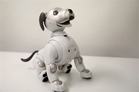 Sony's aibo robotic dog can sit, fetch and learn about owners