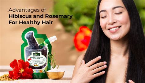 Advantages of Hibiscus and Rosemary For Healthy Hair – Indus Valley
