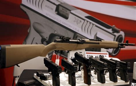 Image result for Springfield Armory Models